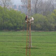 Náter stožiarov VVN 22KV pre VSE