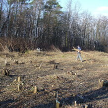 Výruby porastu pod vedením 400KV Jablonica