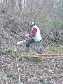 Výseky pod vedením 400KV Jablonica